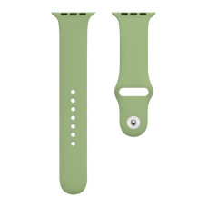 Ремінець для годинника Apple Watch Silicone Classic 42/44/45/49mm 1.Mint Green (Classic42-1.MintGreen)